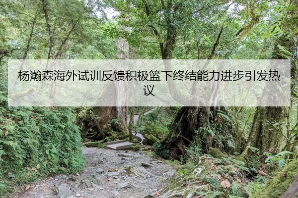 杨瀚森海外试训反馈积极篮下终结能力进步引发热议